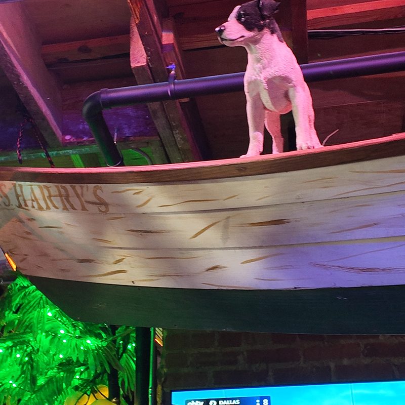 The U.S.S. Harry's, with Phydeaux keeping watch